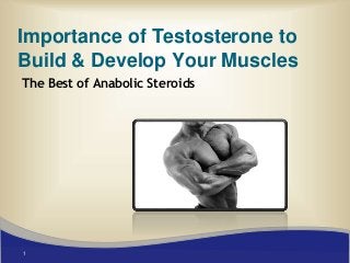 1
Importance of Testosterone to
Build & Develop Your Muscles
The Best of Anabolic Steroids
 