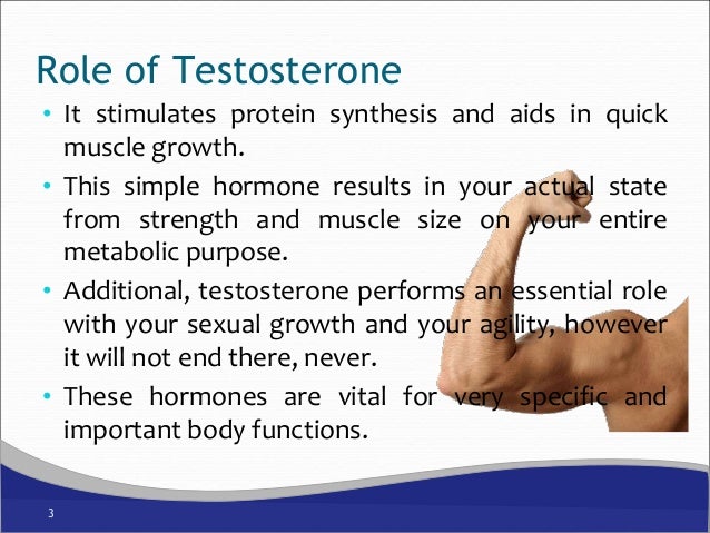 The Importance Of Testosterone For Your Muscle