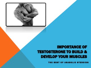 IMPORTANCE OF
TESTOSTERONE TO BUILD &
DEVELOP YOUR MUSCLES
T H E B E S T O F A N A B O L I C S T E R O I D S
 