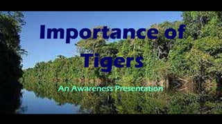 Importance of
Tigers
An Awareness Presentation
 