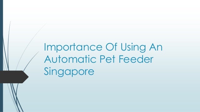 Importance Of Using An Automatic Pet Feeder Singapore