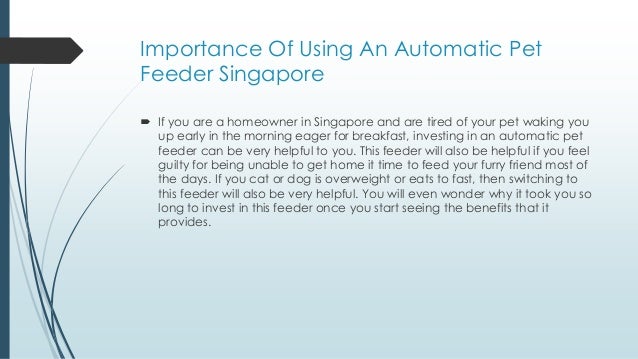 Importance Of Using An Automatic Pet Feeder Singapore