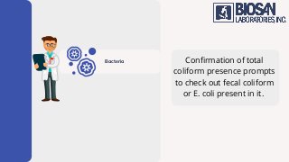 Confirmation of total
coliform presence prompts
to check out fecal coliform
or E. coli present in it.
Bacteria
 