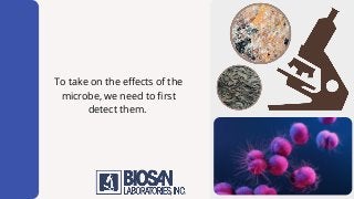 To take on the effects of the
microbe, we need to first
detect them.
 