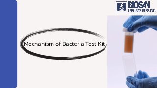 Mechanism of Bacteria Test Kit
 