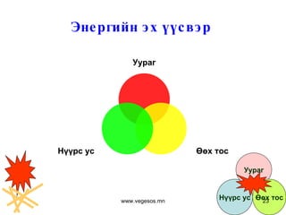 Энергийн эх үүсвэр  www.vegesos.mn Уураг Өөх тос Нүүрс ус Нүүрс ус Уураг Өөх тос 