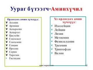Орлогдох амин хүчлүүд: Аланин Аргинин Аспарагин Аспартат Цистейн  Глютамат Глютамин Глицин Пролин  Серин  Тирозин  Гистидин Үл орлогдох амин хүчлүүд:   Изолейцин  Лейцин  Лизин  Метионин  Фенилаланин  Треонин Триптофан  Валин  Уураг бүтээгч- Аминхүчил www.vegesos.mn 