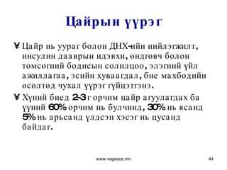 Цайрын үүрэг Цайр нь уураг болон ДНХ-ийн нийлэгжилт, инсулин дааврын идэвхи, өндгөвч болон төмсөгний бодисын солилцоо, элэгний үйл ажиллагаа, эсийн хуваагдал, бие махбодийн өсөлтөд чухал үүрэг гүйцэтгэнэ.  Хүний биед 2-3 г орчим цайр агуулагдах ба үүний 60% орчим нь булчинд, 30% нь ясанд 5% нь арьсанд үлдсэн хэсэг нь цусанд байдаг.  www.vegesos.mn 