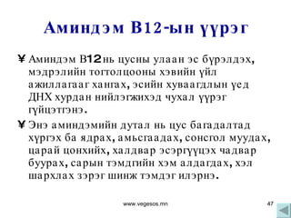Аминдэм В12-ын үүрэг Аминдэм В12 нь цусны улаан эс бүрэлдэх, мэдрэлийн тогтолцооны хэвийн үйл ажиллагааг хангах, эсийн хуваагдлын үед ДНХ хурдан нийлэгжихэд чухал үүрэг гүйцэтгэнэ.  Энэ аминдэмийн дутал нь цус багадалтад хүргэх ба ядрах, амьсгаадах, сонсгол муудах, царай цонхийх, халдвар эсэргүүцэх чадвар буурах, сарын тэмдгийн хэм алдагдах, хэл шархлах зэрэг шинж тэмдэг илэрнэ.   www.vegesos.mn 