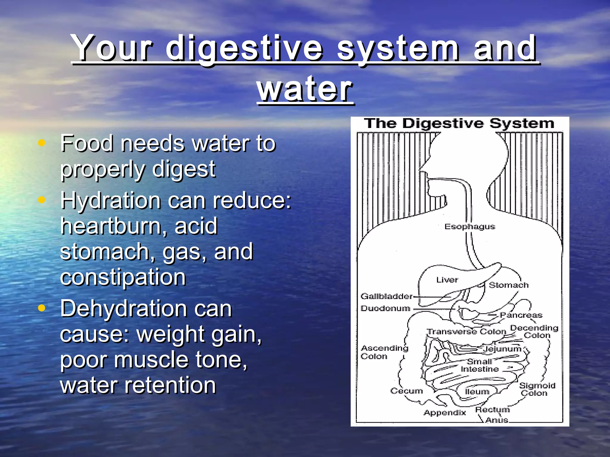 Importance of water to human beings | PPT