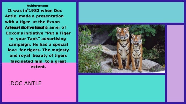 Importance Of Conservation Of Wildlife