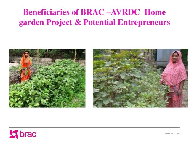 importance of women entrepreneurship in small scale seed production for home gardening 11 638