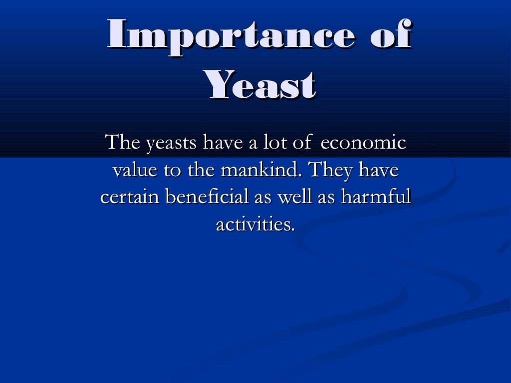 Importance of yeast