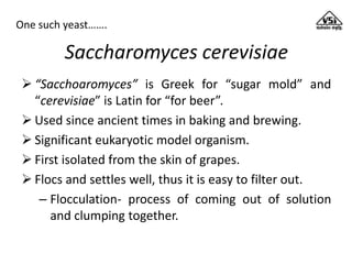 Greek Fermentation Importance of yeast for alcoholic fermentation | PPTX
