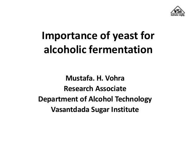 Importance of yeast for alcoholic fermentation - Importance Of Yeast For Alcoholic Fermentation 1 638