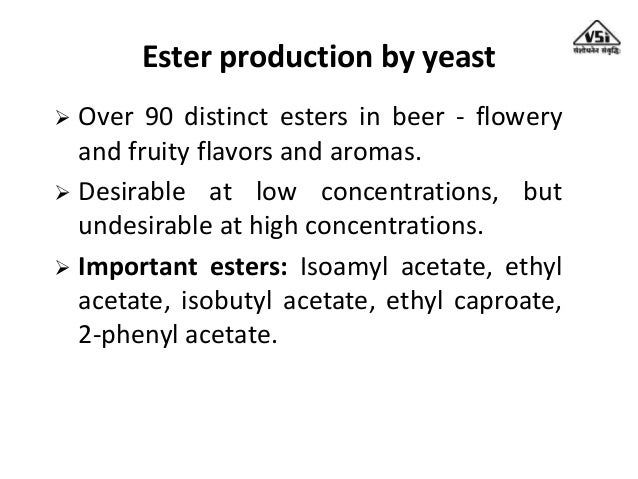 Importance of yeast for alcoholic fermentation - Importance Of Yeast For Alcoholic Fermentation 33 638
