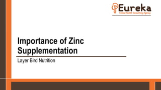 Importance of Zinc
Supplementation
Layer Bird Nutrition
 