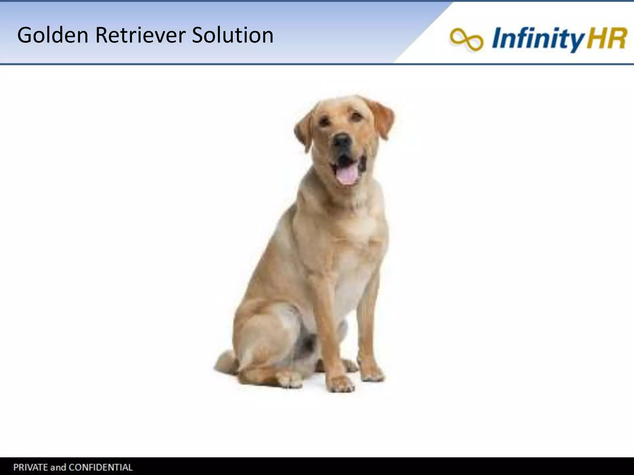 Golden Retriever Solution 
 