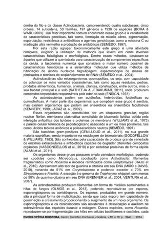 ENCICLOPÉDIA BIOSFERA, Centro Científico Conhecer - Goiânia, v.10, n.18; p. 20143940
dentro do filo e da classe Actinobacteria, compreendendo quatro subclasses, cinco
ordens, 14 subordens, 50 famílias, 197 gêneros e 1936 de espécies (BORA &
WARD 2009). Um fator importante comum encontrado nesse grupo é a variabilidade
de características genéticas, tais como, formação de micélio aéreo, pigmentação,
esporulação, resistência a antibióticos e agentes genotóxicos como a mitocina C ou
irradiação ultra vermelha e produção de antibióticos (SEMÊDO, 1997).
Por esta razão agrupar taxonomicamente este grupo é uma atividade
complexa, exigindo a utilização de métodos que levem em conta diversas
características fisiológicas e morfológicas. Dentre esses métodos, destacam-se
àqueles que utilizam a quimiotaxia para caracterização de componentes específicos
da célula, a taxonomia numérica que considera o maior número possível de
características fenotípicas e a sistemática molecular que utiliza métodos de
hibridação de ácidos nucleicos fago-tipagem, espectroscopia de massa de
pirolisados e técnicas de seqüenciamento de RNAr (SEMÊDO et al., 2004).
Actinobactérias são microrganismos cosmopolitas, ou seja, com capacidade
de colonizar os mais variados ecossistemas, tais como águas residuais, pedras,
produtos alimentícios, humanos, animais, plantas, construções, entre outros, mas o
seu habitat principal é o solo (SATHEEJA & JEBAKUMAR, 2011), onde produzem
compostos terpenóides responsáveis pelo odor do solo (ENSIGN, 1978).
As actinobactérias podem ser autótrofas, heterótrofas, fototróficas ou
quimiotróficas. A maior parte dos organismos que compõem esse grupo é aeróbia,
mas existem organismos que podem ser anaeróbios ou anaeróbios facultativos
(KENNEDY, 1999; LACAZ et. al., 2002).
Esses organismos são constituídos por um citoplasma granular, região
nuclear fibrilar, membrana plasmática constituída de bicamada lipídica obtida pela
interação anfipática dos lipídeos e proteínas de membrana (WILLIAMS et al., 1973)
e parede celular formada de peptideoglicano associado a um ou mais polímeros, tais
como, ácidos teóicos aniônicos e polissacarídeos neutros (SEMÊDO, 1997).
São bactérias gram-positivas (GENILLOUD et al., 2011), na sua grande
maioria saprófitas, sendo importante na reciclagem de biomateriais (GOODFELLOW
& WILLIAMS, 1983). São conhecidas pela capacidade de produzir grande variedade
de enzimas extracelulares e antibióticos capazes de degradar diferentes compostos
orgânicos (VASCONCELLOS et al., 2010) e por sintetizar proteínas de forma rápida
(ALAM et al., 2011).
Os organismos desse grupo possuem ampla variedade morfológica, podendo
ser cocóides como Micrococcus, cocobacilo como Arthrobacter, filamentos
fragmentados como Nocardia e micélios ramificados como Streptomyces (RAJU et
al., 2010). Apresentam alto teor de guanina e citosina em seu DNA (MIÃO e DAVIS,
2010), variando de 51% em Corynebacteria e podendo exceder a 70% em
Streptomyces e Frankia. A exceção é o genoma de Tropheryna whipplei, com menos
de 50% de guanina-citosina em seu DNA (BRENNER et al., 2004; VENTURA et al.,
2007).
As actinobactérias produzem filamentos em forma de micélios semelhantes a
hifas de fungos (OLMOS et al., 2013), podendo, reproduzir-se por esporos,
esporangiósporos ou conidiósporos. Os esporos, produzidos em grande número,
são a principal forma de multiplicação, sendo que cada esporo tem capacidade de
germinação e crescimento proporcionando o surgimento de um novo organismo. Os
esporangiósporos e os conidiósporos são resistentes à dessecação e auxiliam na
sobrevivência das espécies durante a estiagem. Outras espécies, como Nocardia,
reproduzem-se por fragmentação das hifas em células baciliformes e cocóides, cada
 