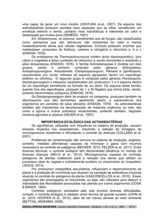 ENCICLOPÉDIA BIOSFERA, Centro Científico Conhecer - Goiânia, v.10, n.18; p. 20143941
uma capaz de gerar um novo micélio (VENTURA et.al., 2007). Os esporos das
actinobactérias possuem paredes mais espessas que as hifas, constituindo um
envelope externo e sendo, portanto mais hidrofóbicas e tolerantes ao calor e
dessecação por muitos anos (SEMÊDO, 1997).
Em Streptomyces, os esporos, semelhantes aos de fungos, são classificados
como astróporos que são estruturas não resistentes ao calor e menos
metabolicamente ativas que células vegetativas. Contudo possuem enzimas que
metabolizam compostos de fósforos, carbono e nitrogênio e citocromo a, b e c
(ENSIGN, 1978).
Os endósporos de Thermoactinocmyces contêm ácido diaminopimélico, íons
cálcio e magnésio e baixo conteúdo de citocromo a, sendo dormentes e resistindo a
altas temperaturas (ENSIGN, 1978). A família Actinoplanaceae é dividida em dois
grupos, sendo o primeiro composto pelos gêneros Actinoplanes,
Amorphosporangium, Ampullariella, Estreptosporangium, Pilimelia e Spirillospora,
caracterizado por conter milhares de esporos agrupados dentro um esporângio
esférico ou cilíndrico. O segundo grupo é composto pelos gêneros Planobispora,
Dactylosporangium e kitasatoa caracterizados por produzirem 3 a 4 esporos dentro
de um esporângio semelhante ao formato de um dedo. Os esporos desta família,
quando fora dos esporângios, possuem de 1 a 40 flagelos que forma tufos, sendo,
portanto denominados zoósporos (ENSIGN, 1978).
Os Dactylosporangium além de produzir os zoósporos, produzem também os
aleuriósporos que são dormentes, garantindo assim, a sobrevivência dos
organismos em períodos de seca elevados (ENSIGN, 1978). As actinobactérias
também são importantes na decomposição de materiais orgânicos no solo, tais
como a lignina e outros polímeros recalcitrantes, podendo também, degradar
resíduos agrícolas e urbanos (HEUER et al., 1997).
IMPORTÂNCIA ECOLÓGICA DAS ACTINOBACTÉRIAS
Os agrotóxicos, utilizados com frequência no sistema de produção, causam
diversos impactos nos ecossistemas, induzindo a seleção de linhagens de
microrganismos resistentes e dificultando o controle de doenças (COLLADO et al.
2007).
Problemas de contaminação são comuns no sistema de produção, exigindo,
portanto, medidas alternativas capazes de minimizar o gasto com insumos
necessários ao controle de patógenos (BECKER, 2010; PELZER et al., 2011). Entre
diversas técnicas, o controle biológico tem demonstrado eficiência no manejo de
diversas doenças (MELO et al., 2012). Microrganismos capazes de controlar
patógenos de plantas colaboram para a redução dos danos que afetam os
processos vitais do vegetal e indiretamente auxiliam no crescimento do hospedeiro
(JESUS, 2013).
Por produzirem metabólitos secundários, influenciam o desenvolvimento da
planta e a produção de hormônios que atuaram na secreção de antibióticos e toxinas
atuando no controle de patógenos da planta (VASCONCELLOS et al., 2010). Esses
organismos são empregados no biocontrole, ou seja, são utilizados para deduzir a
intensidade das fitomoléstias provocadas nas plantas por outros organismos (COOK
& BAKER, 1983).
Controlar patógenos veiculados pelo solo envolve diversas dificuldades,
contudo, o controle biológico é relatado como técnica de grande sucesso (JOHN et
al., 2010; HOOPEN et al., 2012), além de ser menos danoso ao meio ambiente
(BETTIOL; MORANDI, 2009).
 