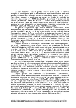 ENCICLOPÉDIA BIOSFERA, Centro Científico Conhecer - Goiânia, v.10, n.18; p. 20143942
As actinobactérias possuem grande potencial como agente de controle
biológico de fitopatógenos, pois ao se associarem à planta hospedeira, produzem
antibióticos, sideróforos e enzimas com ação antimicrobiana (HOSTER et al., 2005).
Além disso, favorece o crescimento da planta, em função da produção de
fitormônios conhecidos como PGPR (rizobactérias promotoras de crescimento de
plantas) (MERZAEVA & SHIROKIKH 2006). O controle de fungos fitopatogênicos
por actinobactérias dá-se por diversos mecanismos, tais como hiperparasitismo,
antibiose, enzimas degradantes da parede celular e indução à resistência, (EL-
TARABILY & SIVASITHAMPARAM, 2005; HASSANIN et al., 2007).
O gênero Streptomyces spp. produz enzimas extracelulares, como
endoglucanase que possibilita a degradação da parede celular de fitopatógenos de
plantas (BOUKAEW et al., 2011). As actinobactérias podem controlar fungos
fitopatogênicos atuando de forma semelhante a fungicidas químicos, sendo que no
mercado existem diversos produtos confeccionados com actinobactérias, tais como
Mycostop, biofungicida isolado a partir de Streptomyces griseoviridis, indicado para
plantas ornamentais e Pinus sp. e Actinovate e Actino-Iron, produzido com
Streptomyces lydicus, biofungicida indicado para plantas ornamentais e jardinagens
(MIYAUCHI, 2012).
Algumas espécies de Streptomyces foram usadas para controlar patógenos,
tais como, Colletotrichum musae agente causador da antracnose na banana
(TAECHOWISAN et al., 2003), Pyricularia oryzae e R. solani causadores da brusone
no arroz e no trigo, fitopatologia que ocasiona manchas de cor marrom podendo
levar a planta à morte. (CRUZ et al. 2011), Phytopthora causador da podridão
radicular na pimenta (EZZIYYANI et al., 2007), Pythium aphanidermatum causador
da podridão nas raízes das plantas, provocando o tombamento das mesmas.
(PINTO et al, 2010; TEIXEIRA et al., 2013), Sclerotiorum causador da podridão no
girassol (BANIASADI et al., 2009) e Rhizoctonia solani e Pseudomonas
solanacearum em tomate (PATIL et al., 2011).
Na comunidade rizosférica, região influenciada pelas raízes e que contêm
grande diversidade de microrganismos do solo, as actinobactérias são importantes,
pois, influenciam no desenvolvimento da planta e protegem as raízes contra agentes
patógenos (SÁ, 2014). Além disto, produzem compostos químicos como a tiamina,
vitamina B12, riboflavina, flavoproteínas, porfirinas e compostos contendo ferro e
coenzima que podem inibir ou incentivar o desenvolvimento de novos organismos
(KENNEDY, 1999).
Alguns gêneros das subordens Corynebacterineae, Micrococcineae,
Micromonosporineae, Propionibacterineae, Streptomycineae possuem a capacidade
de degradar pesticidas, tais como organoclorados, triazinonas, triazinas simétricas,
carbamatos, acetanilidas e sulfonilúreas (SCHRIJVER e MOT, 1999). Streptomyces
tem um bom potencial na biorremediação de locais contaminados por DIURON um
dos pesticidas mais utilizados no Brasil (ESPOSITO et al., 1998). Um isolado do
gênero Streptomyces produtor de ácido indol-3-acético foi utilizado em trigo,
aumentando a massa fresca de brotos e seca de raízes e a absorção de nitrogênio
(N), ferro (Fe), fosforo (P) e manganês (Mn) (SADEGHI et al., 2012). As
actinobacterias pertencentes ao gênero Streptomycetos tem capacidade de
decompor substâncias húmicas em função da produção de enzimas peroxidades
alterando quimicamente a estrutura de ácido húmicos (FODIL et al, 2012).
 