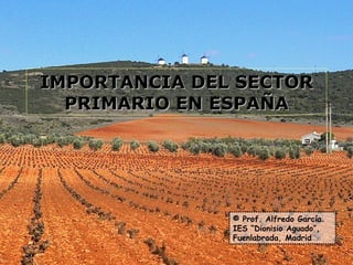 IMPORTANCIA DEL SECTOR PRIMARIO EN ESPAÑA © Prof. Alfredo García. IES “Dionisio Aguado”, Fuenlabrada, Madrid 