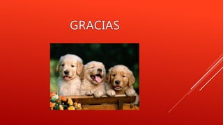 Importancia acerca del uso correcto de la computadora