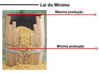 Máxima produção
Mínima produção
Lei do Mínimo
 