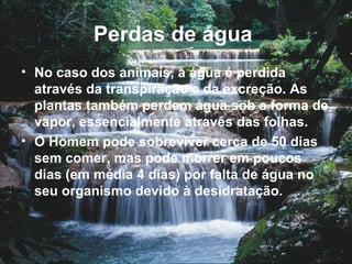 Perdas de água
• No caso dos animais, a água é perdida
  através da transpiração e da excreção. As
  plantas também perdem água sob a forma de
  vapor, essencialmente através das folhas.
• O Homem pode sobreviver cerca de 50 dias
  sem comer, mas pode morrer em poucos
  dias (em média 4 dias) por falta de água no
  seu organismo devido à desidratação.
 