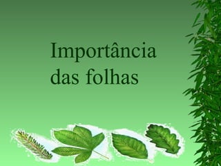 Importância
das folhas
 