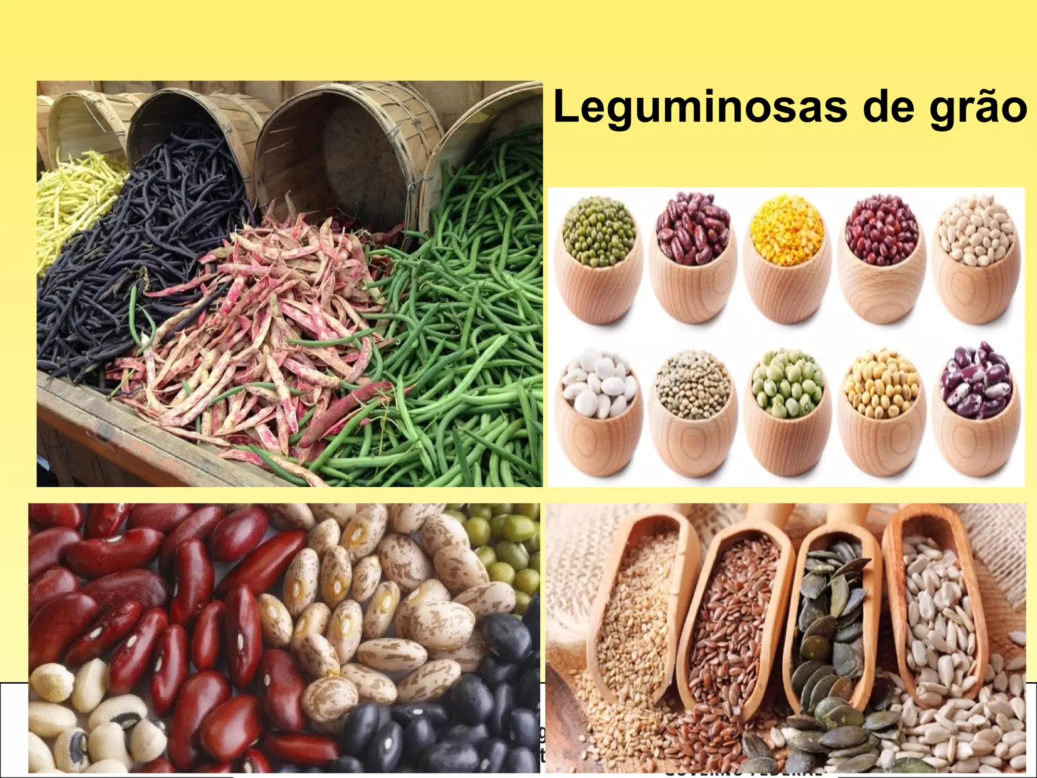 Importancia das leguminosas na produção de alimentos e proteção do meio ...