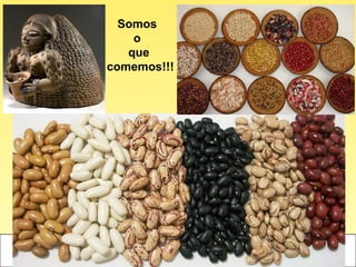 Importancia das leguminosas na produção de alimentos e proteção do meio ...