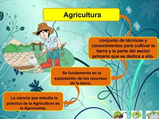 Agricultura
La ciencia que estudia la
práctica de la Agricultura es
la Agronomía.
conjunto de técnicas y
conocimientos para cultivar la
tierra y la parte del sector
primario que se dedica a ello.
Se fundamento en la
explotación de los recursos
de la tierra.
 