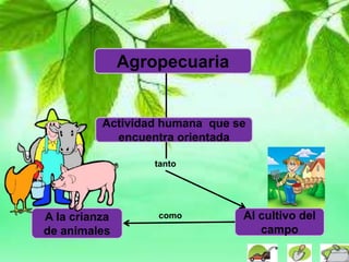 Agropecuaria
Actividad humana que se
encuentra orientada
Al cultivo del
campo
A la crianza
de animales
tanto
como
 