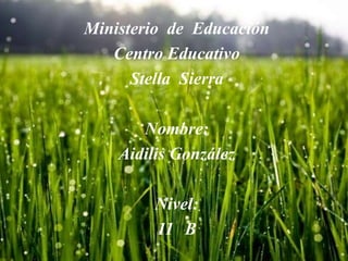 Ministerio de Educación
Centro Educativo
Stella Sierra
Nombre:
Aidilis González
Nivel:
11 B
 