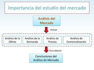 Análisis de la
Oferta
Análisis de la
Demanda
Análisis de
Precios
Análisis de
Comercialización
Conclusiones del
Análisis de Mercado
Importancia del estudio del mercado
Incluye
Para obtener
 