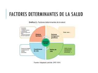 FACTORES DETERMINANTES DE LA SALUD
 