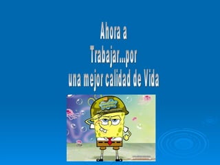 Ahora a  Trabajar...por  una mejor calidad de Vida 