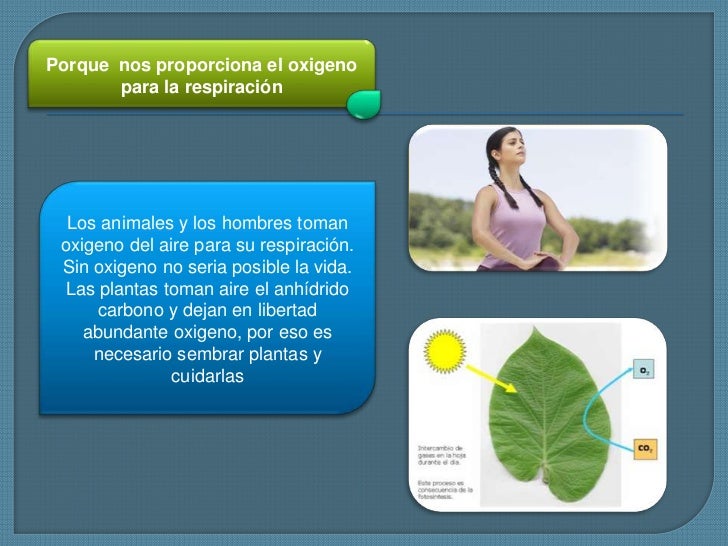 Importancia De La AtmóSfera