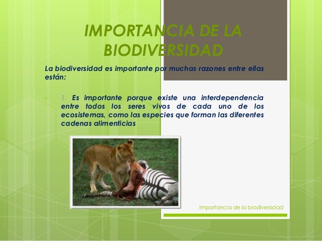 Importancia de la biodiversidad.