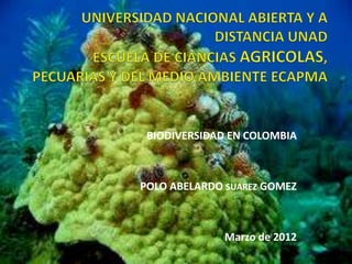 BIODIVERSIDAD EN COLOMBIA



POLO ABELARDO SUAREZ GOMEZ



              Marzo de 2012
 