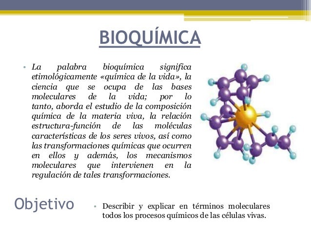 Resultado de imagen de La bioquímica, es la rama de la Química y de la Biología que tiene por objetivo principal el conocimiento de la estructura y comportamiento de las moléculas biológicas