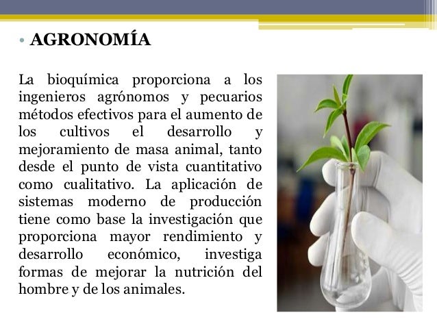 Importancia de la bioquimica y sus relaciones con otras