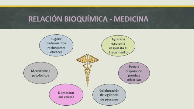 Que Relacion Tiene La Bioquimica Con Otras Ciencias