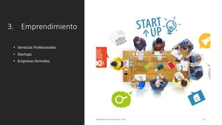 3. Emprendimiento
• Servicios Profesionales
• Startups
• Empresas formales
wwww.eduardosnape.com 10
 