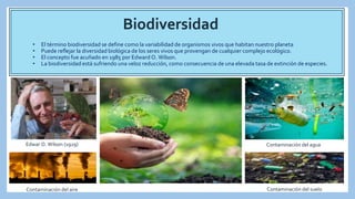Biodiversidad
• El término biodiversidad se define como la variabilidad de organismos vivos que habitan nuestro planeta
• Puede reflejar la diversidad biológica de los seres vivos que provengan de cualquier complejo ecológico.
• El concepto fue acuñado en 1985 por Edward O. Wilson.
• La biodiversidad está sufriendo una veloz reducción, como consecuencia de una elevada tasa de extinción de especies.
Edwar O. Wilson (1929)
Contaminación del aire
Contaminación del agua
Contaminación del suelo
 