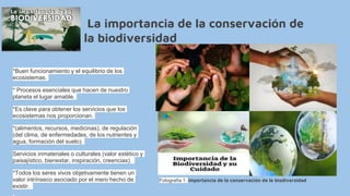 La importancia de la conservación de
la biodiversidad
*Buen funcionamiento y el equilibrio de los
ecosistemas.
* Procesos esenciales que hacen de nuestro
planeta el lugar amable.
*Es clave para obtener los servicios que los
ecosistemas nos proporcionan.
*(alimentos, recursos, medicinas), de regulación
(del clima, de enfermedades, de los nutrientes y
agua, formación del suelo).
Servicios inmateriales o culturales (valor estético y
paisajístico, bienestar, inspiración, creencias).
*Todos los seres vivos objetivamente tienen un
valor intrínseco asociado por el mero hecho de
existir.
jhhjhj
Fotografía 1: importancia de la conservación de la biodiversidad
 