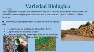 Variedad Biológica
☺La diversidad biológica que observamos hoy es el fruto de miles de millones de años de
evolución, moldeada por procesos naturales y, cada vez más, por la influencia del ser
humano.
☻ La diversidad biológica ofrece un gran número de bienes y servicios que sustentan nuestra
vida.
● El suministro de madera, combustible y fibra
● La purificación del aire y el agua
● La destoxificación y descomposición de los desechos
● La estabilización y moderación del clima de la Tierra
 