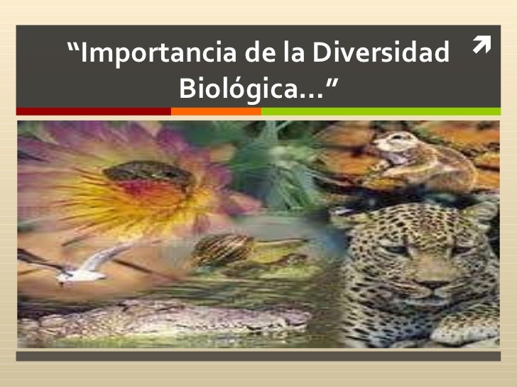 Importancia de la diersidad biologica Importancia de la diersidad biologica