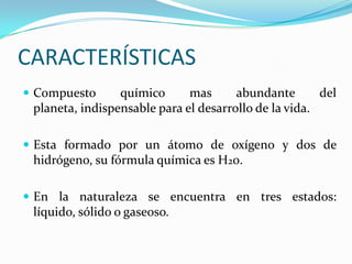 Importancia Del Agua